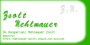 zsolt mehlmauer business card
